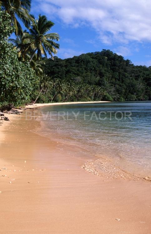 Island;fiji;blue water;sky;palm trees;sand;shore line